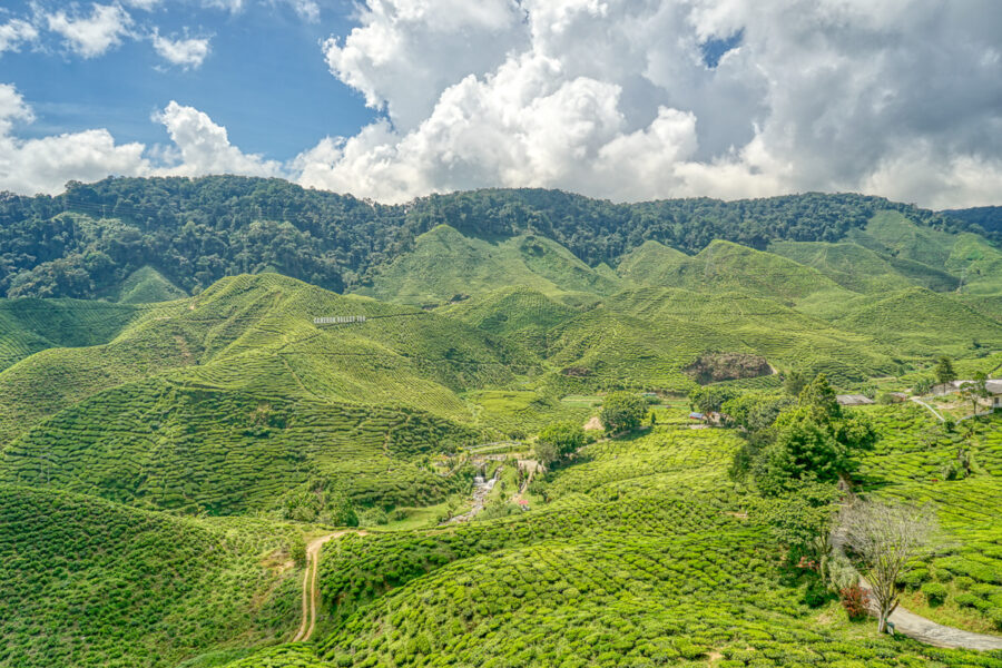 The hills of Cameron Highlands