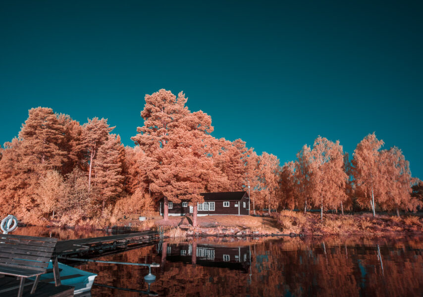 An Infrared Morning